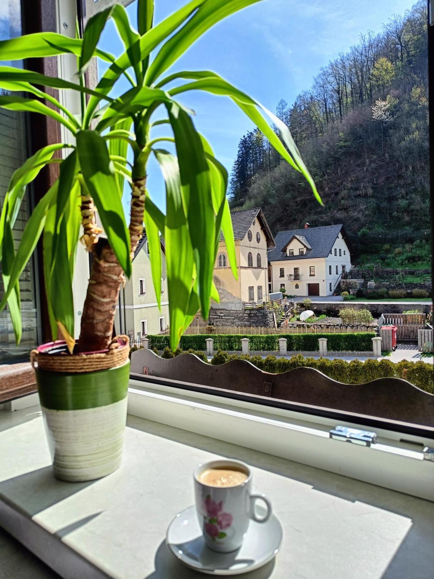 Haus Lagma Studio Zelezniki Buitenkant foto